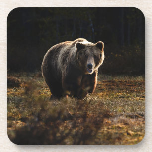 Dessous-de-verre Bear Beverage Coaster
