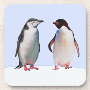 Dessous-de-verre Beau couple d'oiseaux de pingouin sur bleu clair