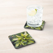 Dessous-de-verre Beau grand feuille vert clair (Côté Droit)