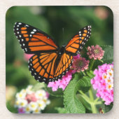 Dessous-de-verre Beau papillon de monarque sur Flowers.Coasters (Devant)