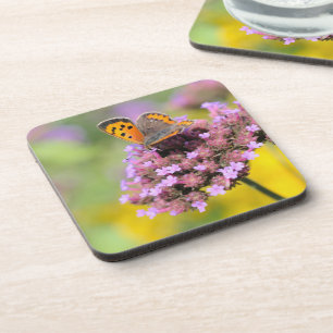 Dessous-de-verre Beau papillon sur des fleurs