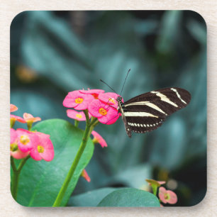 Dessous-de-verre Beau papillon sur une fleur rose