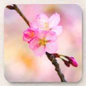 Dessous-de-verre Beautiful Sakura Cherry (Devant)