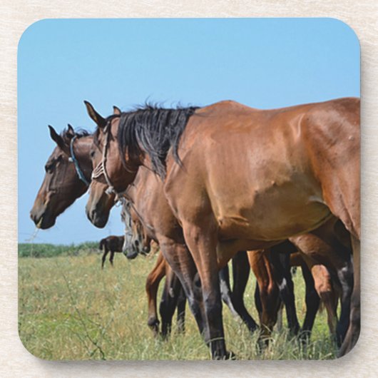 Dessous-de-verre Beaux Chevaux de Baie (Devant)