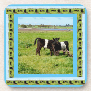 Dessous-de-verre Bébé ceinturé de vaches galloway,