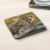 Dessous-de-verre Bébé guépard câlinant avec sa mère (Côté gauche)
