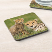 Dessous-de-verre Bébé guépard et parent dans l'herbe (Côté gauche)