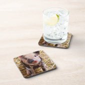 Dessous-de-verre Bébé mignon Animaux de la ferme des porcs Barnyard (Côté Droit)