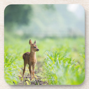 Dessous-de-verre Bébé mignon cerf Fawn dans l'herbe Nature Photogra