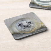 Dessous-de-verre Bébé phoque gris (Côté gauche)