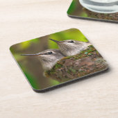 Dessous-de-verre Bébés colibris (Côté gauche)