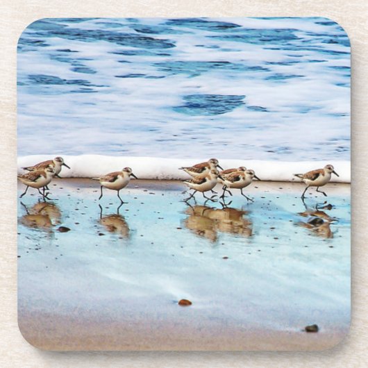 Dessous-de-verre Bécasseaux fonctionnant le long de la plage (Devant)