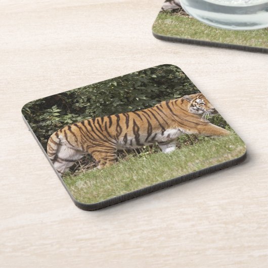 Dessous-de-verre Bedfordshire, Angleterre 2 (Côté gauche)