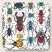 Dessous-de-verre Beetons sur blanc (Devant)