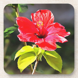 Dessous-de-verre Belle Fleur d'Hibiscus Tropical Rouge Artistique
