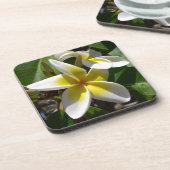 Dessous-de-verre Belle fleur jaune-blanche de Plumeria (Côté gauche)
