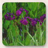 Dessous-de-verre Belle Iris Violet (Devant)