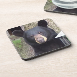 Dessous-de-verre Belle Ours Noir