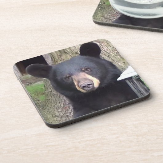 Dessous-de-verre Belle Ours Noir (Côté gauche)
