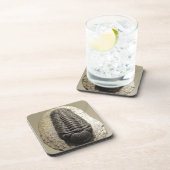 Dessous-de-verre Belle Phacops trilobite photo fossile (Côté Droit)