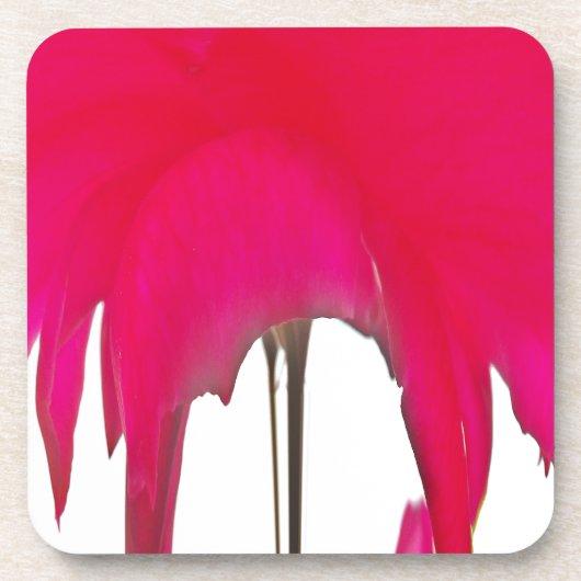 Dessous-de-verre Belle rose rouge extraordinaire sous le ciel blanc (Devant)