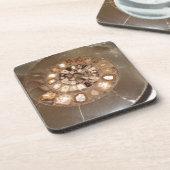 Dessous-de-verre Belle section Dactylioceras ammnite fossile (Côté gauche)