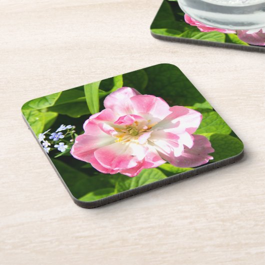 Dessous-de-verre Belle tulipe rose (Côté gauche)