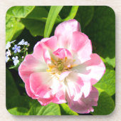 Dessous-de-verre Belle tulipe rose (Devant)
