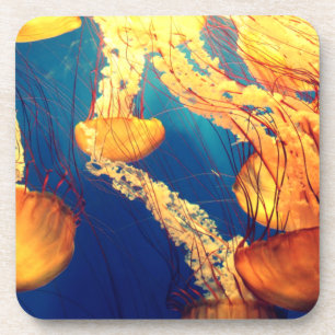 Dessous-de-verre Belle Vie Marine : Jellyfish or