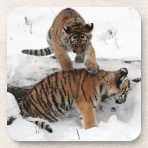 Dessous-de-verre Belles cubes de tigre jouant dans la neige