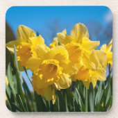 Dessous-de-verre Belles Daffodiles Jaunes (Devant)