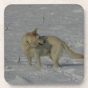 Dessous-de-verre Berger allemand blanc dans la neige