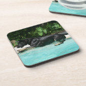 Dessous-de-verre Berger allemand sautant dans l'eau (Côté gauche)