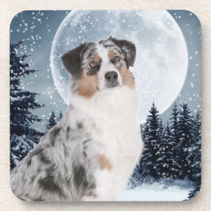 Dessous de verre bergers australiens