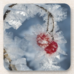 Dessous-de-verre Berry