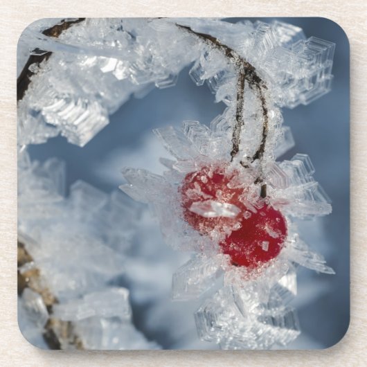 Dessous-de-verre Berry (Devant)