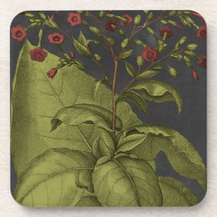 Dessous-de-verre Besler Dramatique I