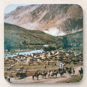 Dessous-de-verre Bétail, le Colorado, 1899 (photo)