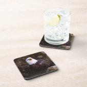 Dessous-de-verre Beverage d'aigle chauve (Côté Droit)
