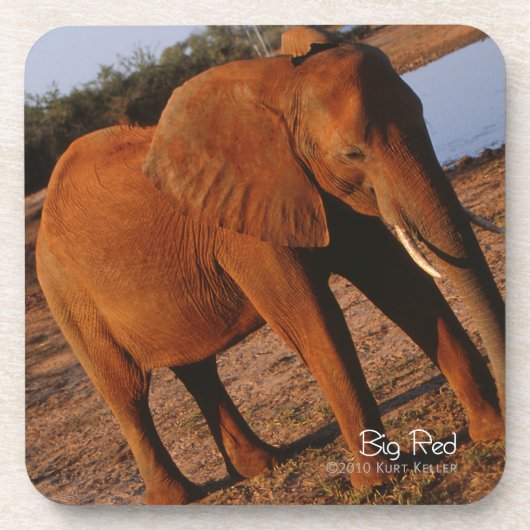 Dessous-de-verre Big Red (Devant)