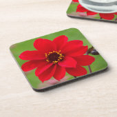 Dessous-de-verre Bishop de Llandaff Dahlia (Côté gauche)