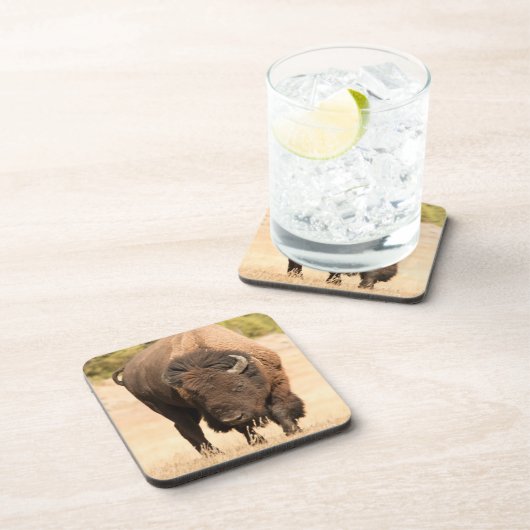 Dessous-de-verre Bison (Côté Droit)