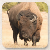 Dessous-de-verre Bison (Devant)