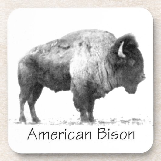 Dessous-de-verre Bison américain (Devant)