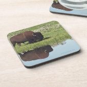 Dessous-de-verre Bison (bison de bison) sur le pré herbeux (Côté gauche)
