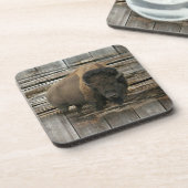 Dessous-de-verre Bison de bois (Côté gauche)