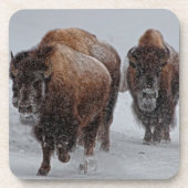 Dessous-de-verre Bison de Yellowstone (Devant)