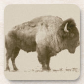 Dessous-de-verre Bison des plaines (Devant)
