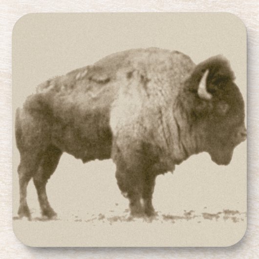 Dessous-de-verre Bison des plaines (Devant)