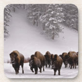 Dessous-de-verre Bison en hiver (Devant)